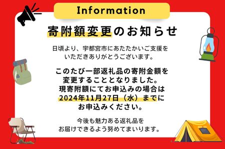 ＼11/27(水)まで現行 寄附額／LALA| tent-Mark DESIGNS テンマクデザイン WILD-1 ワイルドワン テント ドームテント キャンプ アウトドアギア ※着日指定不可