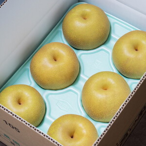 \12月末まで 寄附額改定/【選べる】梨 特選 5kg 標準箱 幸水 豊水 秋月 甘太 にっこり| 栃木県産 果物 フルーツ ※離島への配送不可