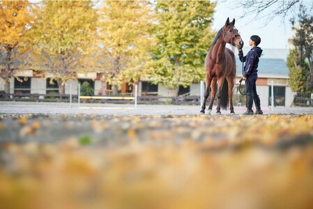 Canon キヤノン 大口径・単焦点カメラレンズ RF85mm F1.2 L USM DS ｜ キヤノン Canon 一眼 カメラ レンズ 