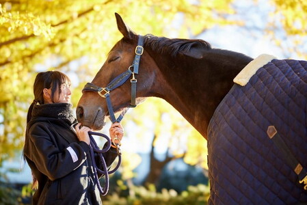 Canon キヤノン 大口径・単焦点カメラレンズ RF85mm F1.2 L USM DS ｜ キヤノン Canon 一眼 カメラ レンズ 