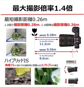 Canon キヤノン 高画質マクロカメラレンズ RF100mm F2.8 L MACRO IS USM | キヤノン Canon カメラ レンズ