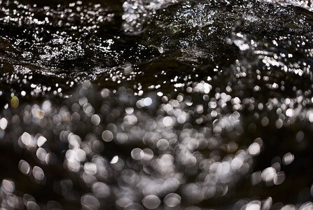 Canon キヤノン 高画質マクロカメラレンズ RF100mm F2.8 L MACRO IS USM | キヤノン Canon カメラ レンズ