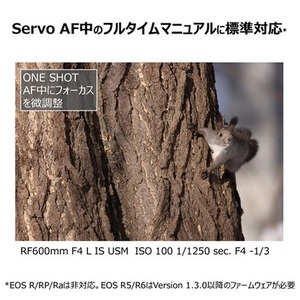 Canon キヤノン 大口径・望遠カメラレンズ RF600mm F4 L IS USM ｜ キヤノン Canon カメラ レンズ