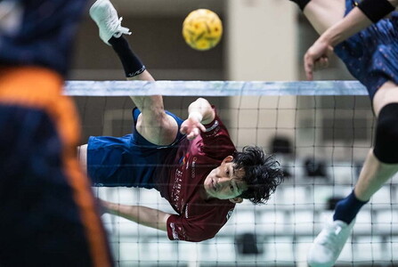 Canon キヤノン 大口径・望遠カメラズームレンズ RF100-300mm F2.8 L IS USM | キヤノン Canon カメラ レンズ