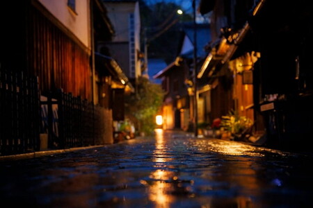 Canon キヤノン 大口径・標準ズームカメラレンズ RF24-105mm F2.8 L IS USM Z | キヤノン Canon カメラ レンズ