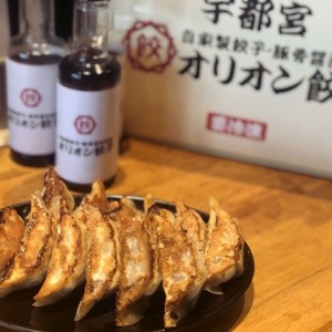 オリオン餃子 餃子 50個入り×1袋