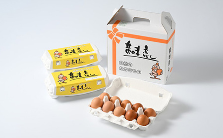 【2ヶ月定期便】赤玉卵「自然のたからもの　黄味恋し」1ケース（10個入り×3パック）×2ヶ月 ※離島への配送不可