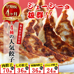 【4ヶ月定期便】餃子専門店 宇都宮 悟空 4種の人気餃子定期便 | 餃子 冷凍 ぎょうざ ギョーザ 紫蘇 シソ 肉たっぷり 肉多め 大きい 人気 名物 行列 国産野菜 国産豚肉 ジューシー スタミナ パリパリ もちもち グルメ おかず 食べ比べ おつまみ 簡単 小分け 冷凍食品 ※離島への配送不可