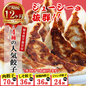 【12ヶ月定期便】餃子専門店 宇都宮 悟空 4種の人気餃子定期便  | 餃子 冷凍 ぎょうざ ギョーザ 紫蘇 シソ 肉たっぷり 肉多め 大きい 人気 名物 行列 国産野菜 国産豚肉 ジューシー スタミナ パリパリ もちもち グルメ おかず 食べ比べ おつまみ 簡単 小分け 冷凍食品 ※離島への配送不可