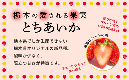 阿部梨園の完熟とちあいか（ふぞろい）  ※離島への配送不可 ※2025年12月上旬～2026年5月中旬頃に順次発送予定