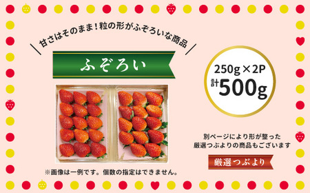 阿部梨園の完熟とちあいか（ふぞろい）  ※離島への配送不可 ※2025年12月上旬～2026年5月中旬頃に順次発送予定