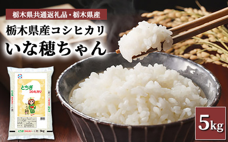 ぷうちゃんちゃんちゃんちゃん　コシヒカリ精米　25K袋発送 令和元年産】コシヒカリ「ひかりちゃん」5kg | 茨城県下妻市