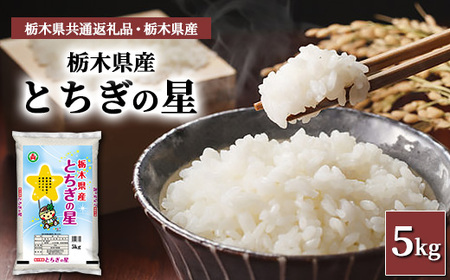 栃木県産とちぎの星 5kg【栃木県共通返礼品・栃木県産】◇ ※2025年10月