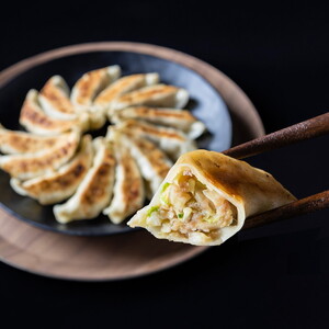 宇都宮餃子 はちまん餃子 青 野菜餃子 64個（16個入り×4パック/1個 22g） ｜ 宇都宮餃子 国産野菜 グルメ 宇都宮市 野菜 餃子 ぎょうざ ギョーザ 野菜 冷凍食品 冷凍餃子 焼き餃子 水餃子