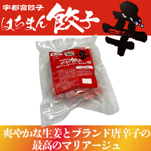宇都宮餃子 はちまん餃子 激辛餃子 48個（12個入り×4袋/1個 22g） ｜ 宇都宮餃子 国産野菜 グルメ 宇都宮市 餃子 冷凍 ぎょうざ ギョーザ 野菜 冷凍食品 冷凍餃子 焼き餃子 水餃子