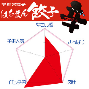 宇都宮餃子 はちまん餃子 激辛餃子 48個（12個入り×4袋/1個 22g） ｜ 宇都宮餃子 国産野菜 グルメ 宇都宮市 餃子 冷凍 ぎょうざ ギョーザ 野菜 冷凍食品 冷凍餃子 焼き餃子 水餃子