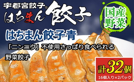 宇都宮餃子 はちまん餃子 青 野菜餃子 32個（16個入り×2パック/1個 22g） ｜ 宇都宮餃子 国産野菜 グルメ 宇都宮市 野菜 餃子 ぎょうざ ギョーザ 野菜 冷凍食品 冷凍餃子 焼き餃子 水餃子