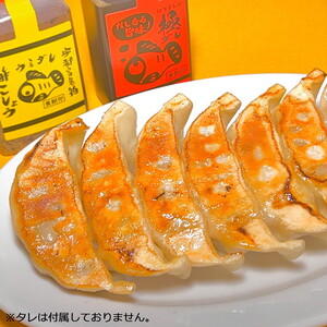 宇都宮餃子 はちまん餃子 しょうが餃子 16個 (16個入り×1パック/1個 22g) | 宇都宮餃子 国産野菜 グルメ 宇都宮市 しょうが ぎょうざ ギョーザ 野菜 冷凍食品 冷凍餃子 焼き餃子 水餃子