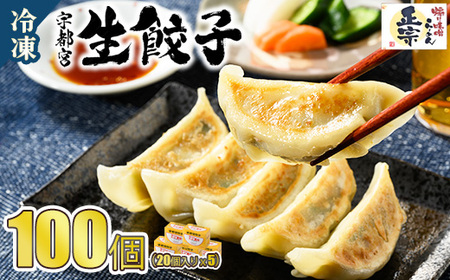 餃子20個入り×5箱(100個) | ふるさと納税 餃子 冷凍 ギョウザ 冷凍食品 惣菜 お取り寄せ グルメ 送料無料 宇都宮 栃木県