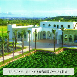 オーガニックハーブティー350mlルイボス×24本