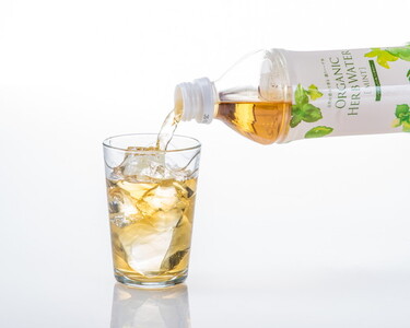 オーガニックハーブウォーター500mlミント×24本