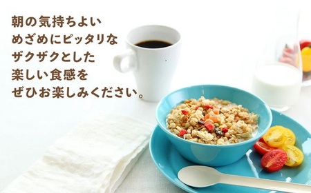 【定期便2回】 ＜毎月発送＞ カルビー　フルグラ3種(フルグラ・糖質オフ・チョコバナナ味)6個セット 全2回 | シリアル フルーツ グラノーラ 朝食 朝ごはん 健康 食物繊維 鉄分 ビタミン 減塩 低糖質 ロカボ 栄養補助 食べ比べ 非常食 常備食 保存食 人気 子供 おやつ