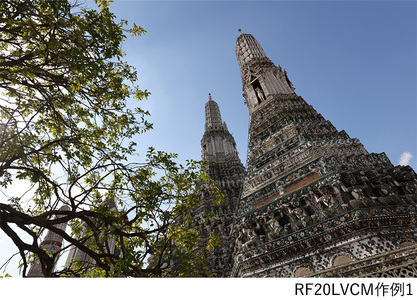 Canon キヤノン 単焦点Lカメラレンズ RF20mm F1.4 L VCM | キヤノン canon 一眼 カメラ レンズ