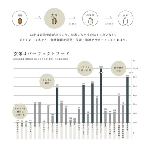 もっちりブラウンライス（寝かせ玄米※） 30食ミックスセット