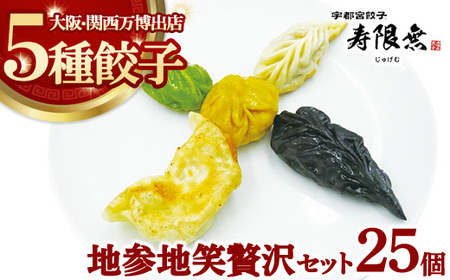 地参地笑贅沢セット 5種25個|ぎょうざ ギョウザ ギョーザ 冷凍食品 冷凍餃子 惣菜 夜ご飯 おかず おつまみ 手軽 時短 お取り寄せ グルメ