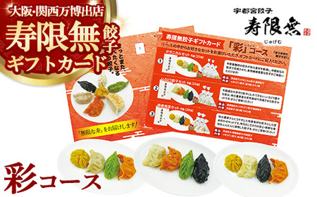 寿限無餃子ギフトカード 彩コース｜チケット ぎょうざ ギョウザ ギョーザ 冷凍食品 冷凍餃子 惣菜 夜ご飯 おかず おつまみ 手軽 時短 お取り寄せ グルメ
