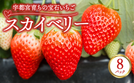 宇都宮育ちの宝石いちご「スカイベリー」 8パック | 苺 イチゴ 果物 フルーツ 栃木県 宇都宮市 ※2025年12月中旬～2026年3月下旬頃に順次発送予定 6,300円