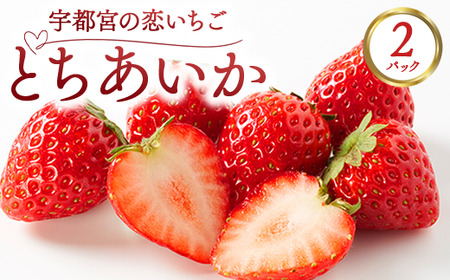 宇都宮の恋いちご「とちあいか」 2パック ―甘くて可愛い、愛されいちご― | 苺 イチゴ 果物 フルーツ 栃木県 宇都宮市 ※2025年12月中旬～2026年3月下旬頃に順次発送予定