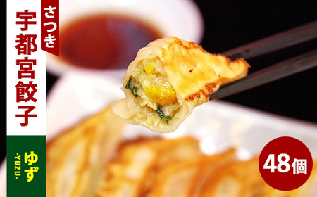 ゆず餃子 24個入り×2箱（合計48個）（960g） 11,360円