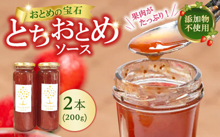 いちごソース 2本 | 無添加 ギフト 国産 栃木県 宇都宮市