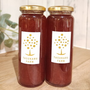 いちごソース 2本 | 無添加 ギフト 国産 栃木県 宇都宮市