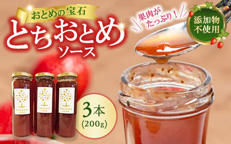 いちごソース 3本 ｜ 無添加 ギフト 国産 栃木県 宇都宮市 12,480円
