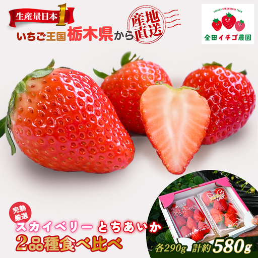 【数量限定】 いちご食べ比べセット スカイベリー300g＆とちあいか300g ｜ いちご 栃木 スカイベリー 甘い 糖度 旬 新鮮 フルーツ 果物 アレンジ スイーツ いちごジャム フルーツサンド ※2025年12月下旬～2026年3月下旬頃に順次発送予定 ※北海道・沖縄・離島への配送不可