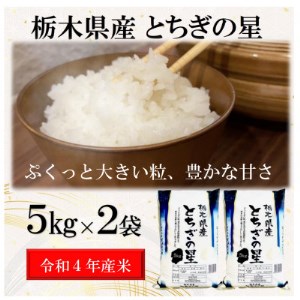 新米【令和4年産】栃木県産とちぎの星(精米)5kg×2袋 【1337573】