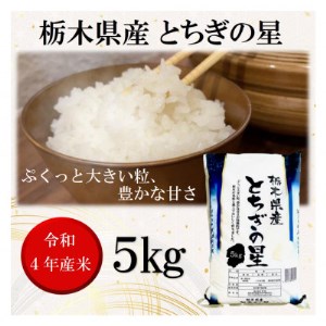 新米【令和4年産】栃木県産とちぎの星(精米)5kg×1袋【1337574】