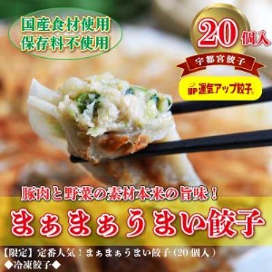 宇都宮餃子 まあまあウマイ餃子20個 保存料不使用【1343443】