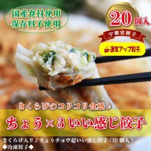 宇都宮餃子 ちょうX3いい感じ餃子 保存料不使用【1343448】