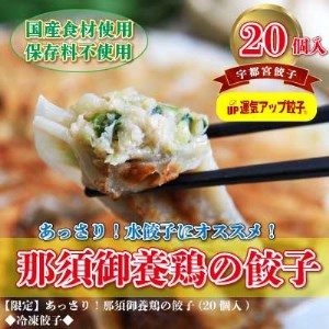 宇都宮餃子 那須御養鶏の餃子20個 保存料不使用【1343450】