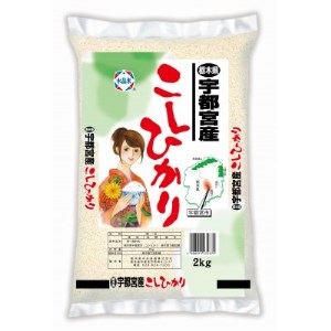 【令和4年産】宇都宮産コシヒカリ 精米2kg【1344364】