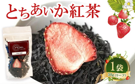 とちあいか 紅茶（リーフ）30g×1袋 | 紅茶 茶葉 フルーツティー Tea いちご 苺 イチゴ プチギフト 栃木県 宇都宮市