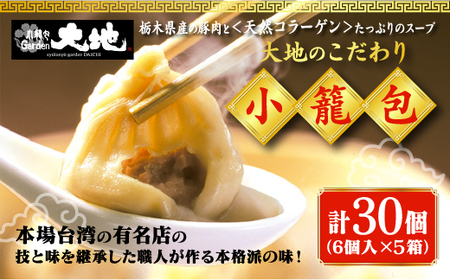 これが大地の小籠包です 計30個入り(1箱6個入り×5箱)