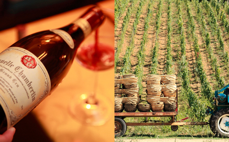 大谷の天然地下蔵で深みを増すワイン 令和3年 伊勢神宮奉納ワイン 3本セット ※配送不可地域：離島 |  赤ワイン 白ワイン スパークリング ロゼ 飲み比べ ギフト ワイン wine 伊勢神宮 奉納 セット ワイン wine スパークリング ロゼ ロゼワイン 栃木県 宇都宮市