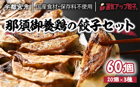 宇都宮餃子 鶏餃子 3種類味比べ(合計60個)【 餃子 食べ比べセット 冷凍