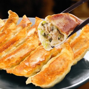 「宇都宮餃子館」味わい5色セット(各8個入り)