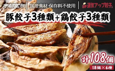 宇都宮餃子 運気アップ餃子 6種類味比べ(合計108個)【 餃子 食べ比べセット 冷凍餃子 冷凍食品 惣菜 栃木県 宇都宮市 】※配送不可地域:離島