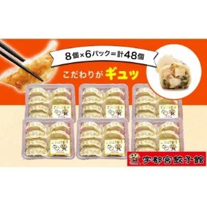 「宇都宮餃子館」のニンニク餃子 8個入り×6パック(計48個)